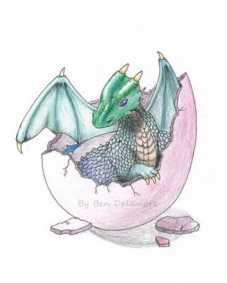 Dragon Hatchling