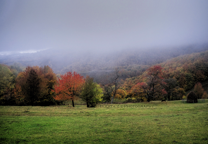 Breathing Autumn