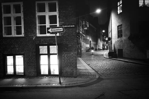 Copenhagen by night II