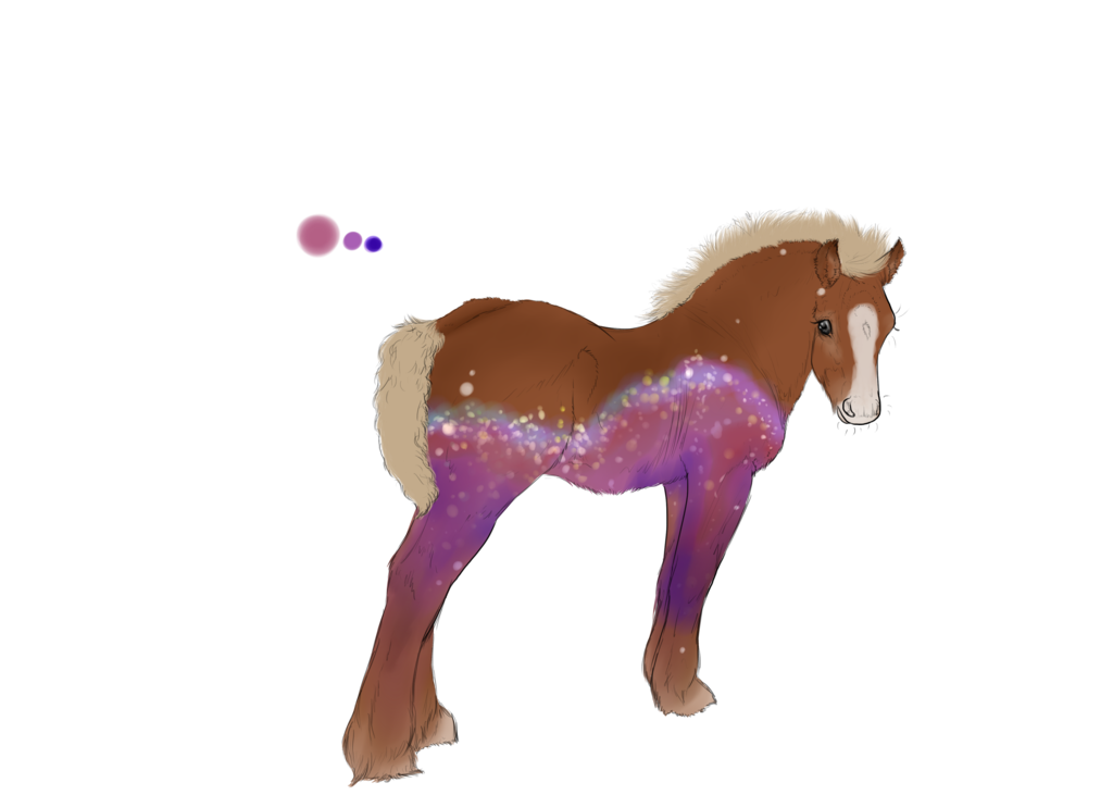 Foal 946 Design