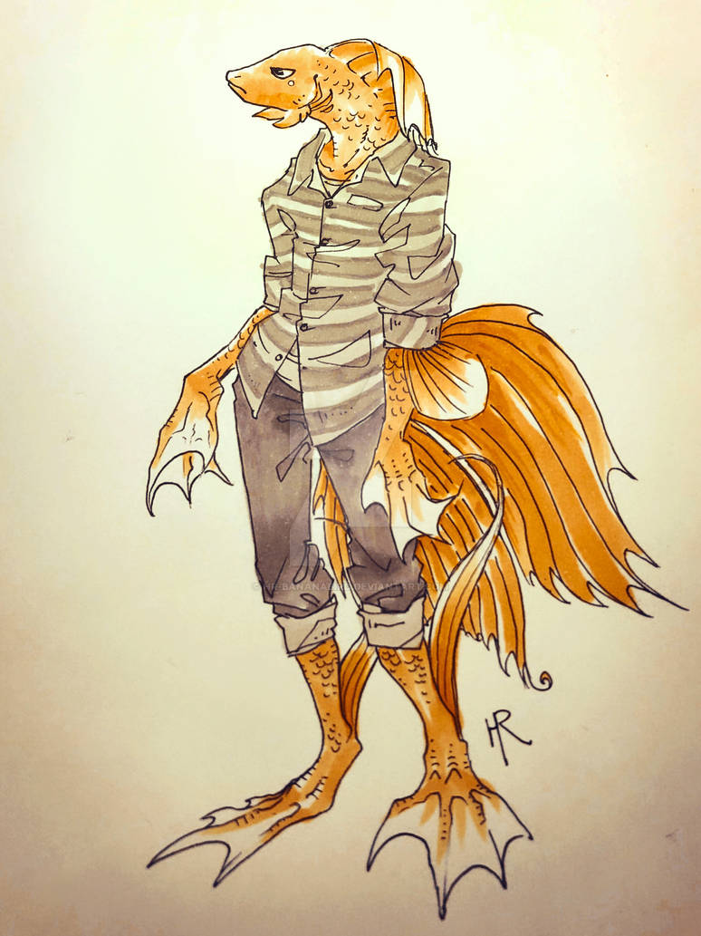 Betta Fish by hr-bananabird on DeviantArt