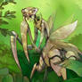 Golgoth Mantis