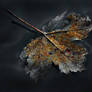 Autumn Ethereal - Part II
