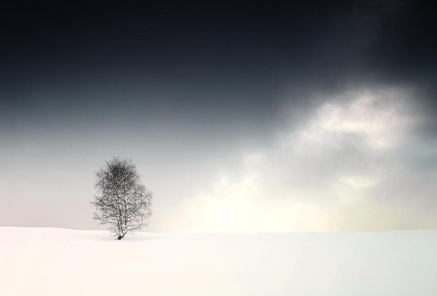 Icy blow in White sands