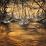 Golden Ice