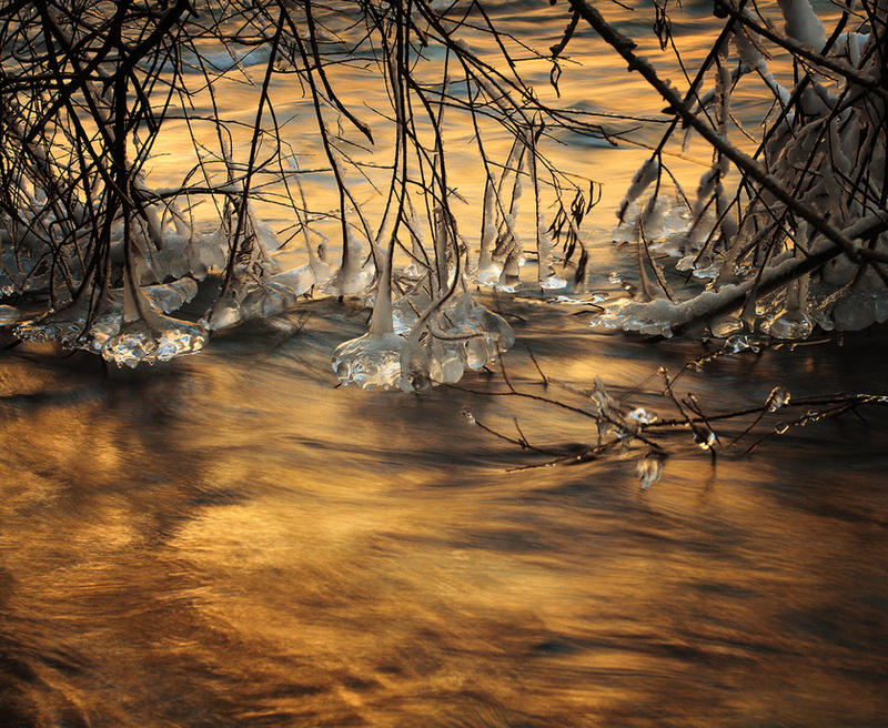 Golden Ice