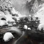 At the Heart of Winter