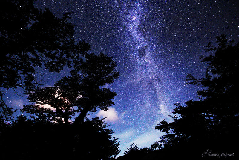 Patagonian Night