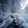 Winter Delight _