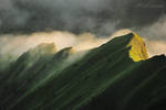 The Wave by alexandre-deschaumes