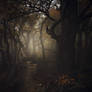 Enter | Forest of Souls