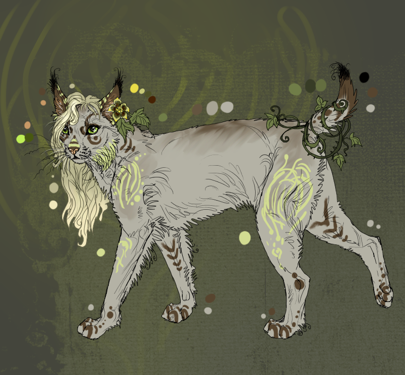 Lynx adoptable 2
