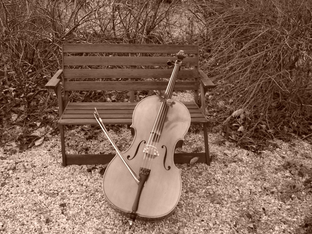 Lonesome Cello . . .