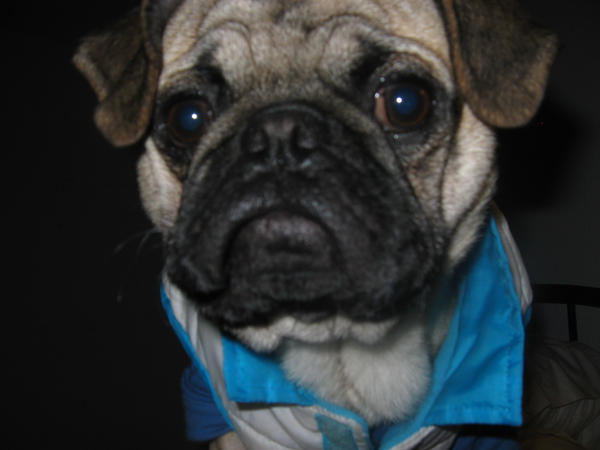 rambo ram by jcisfine9 on DeviantArt