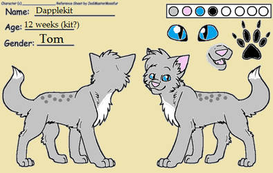 Dapplekit Ref Sheet - The Clans of the Valley