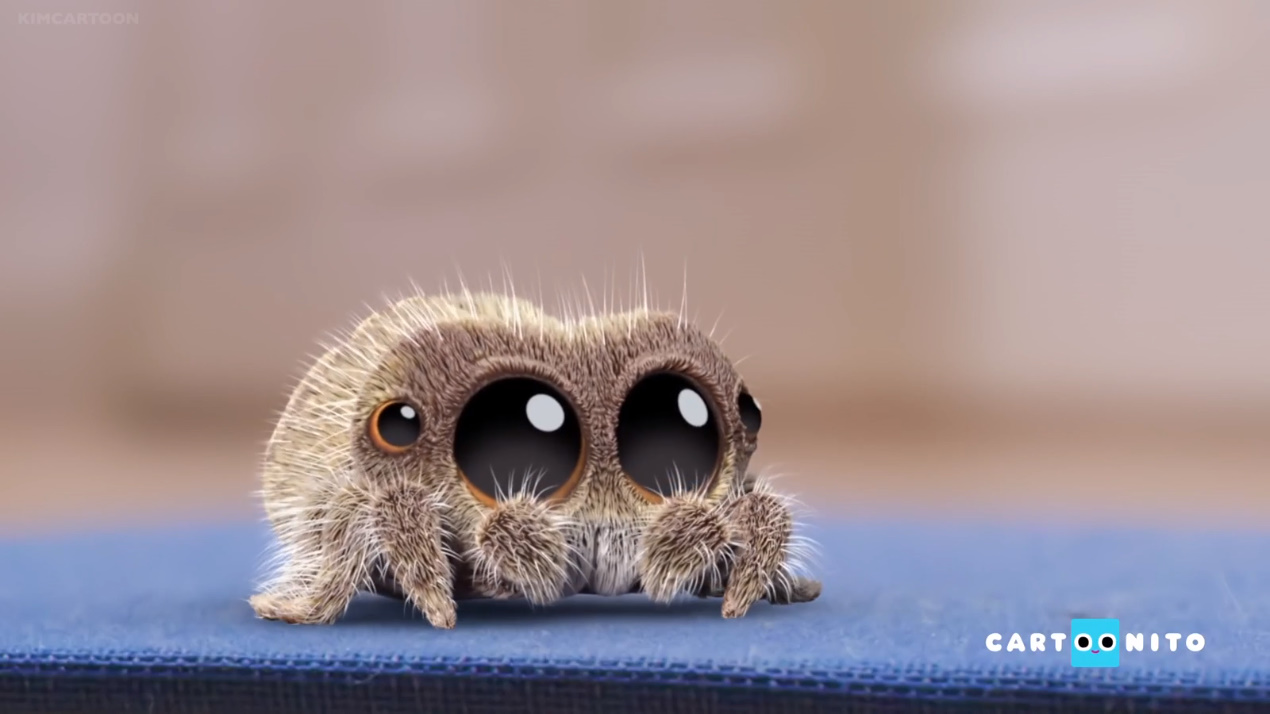 Lucas the Spider by champvasquez24 on DeviantArt
