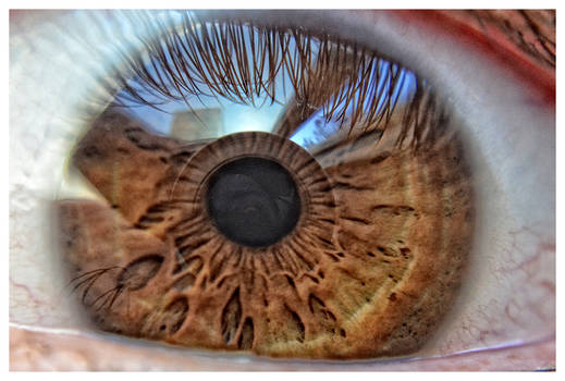 Macro Eye 2