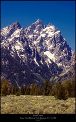 Grand Teton - IV