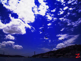 skyyy