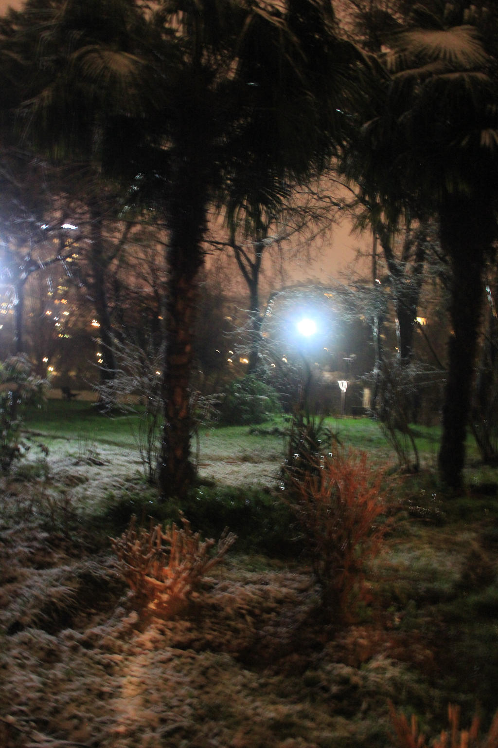 Snow 21.01.2022