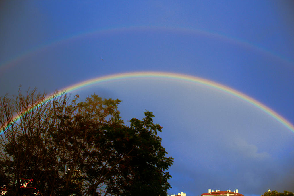 22.09.2022 Rainbow