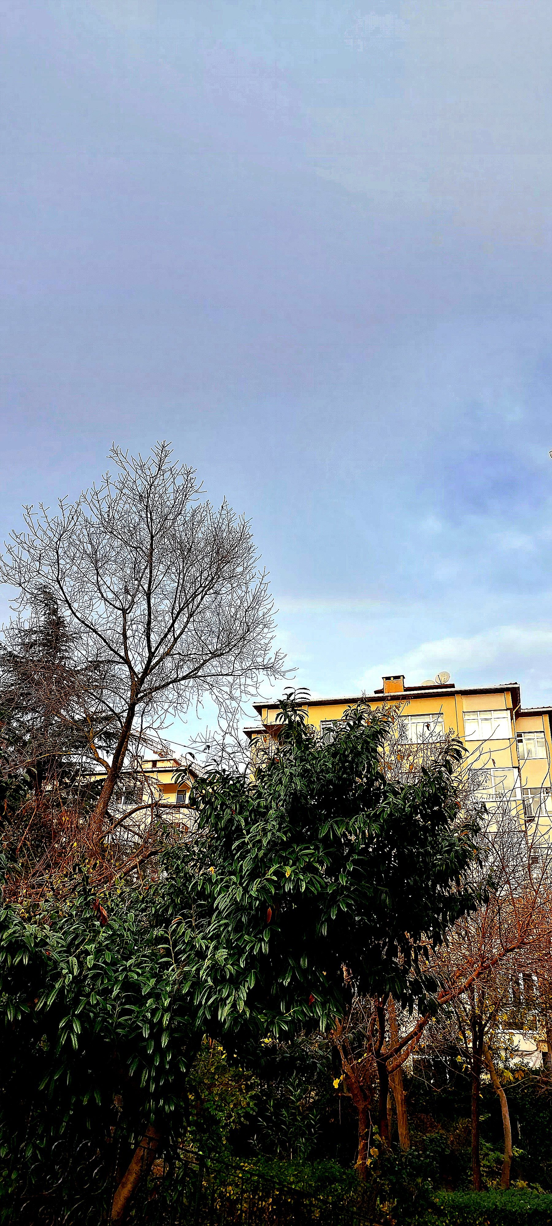 Rainbow 15.12.2022