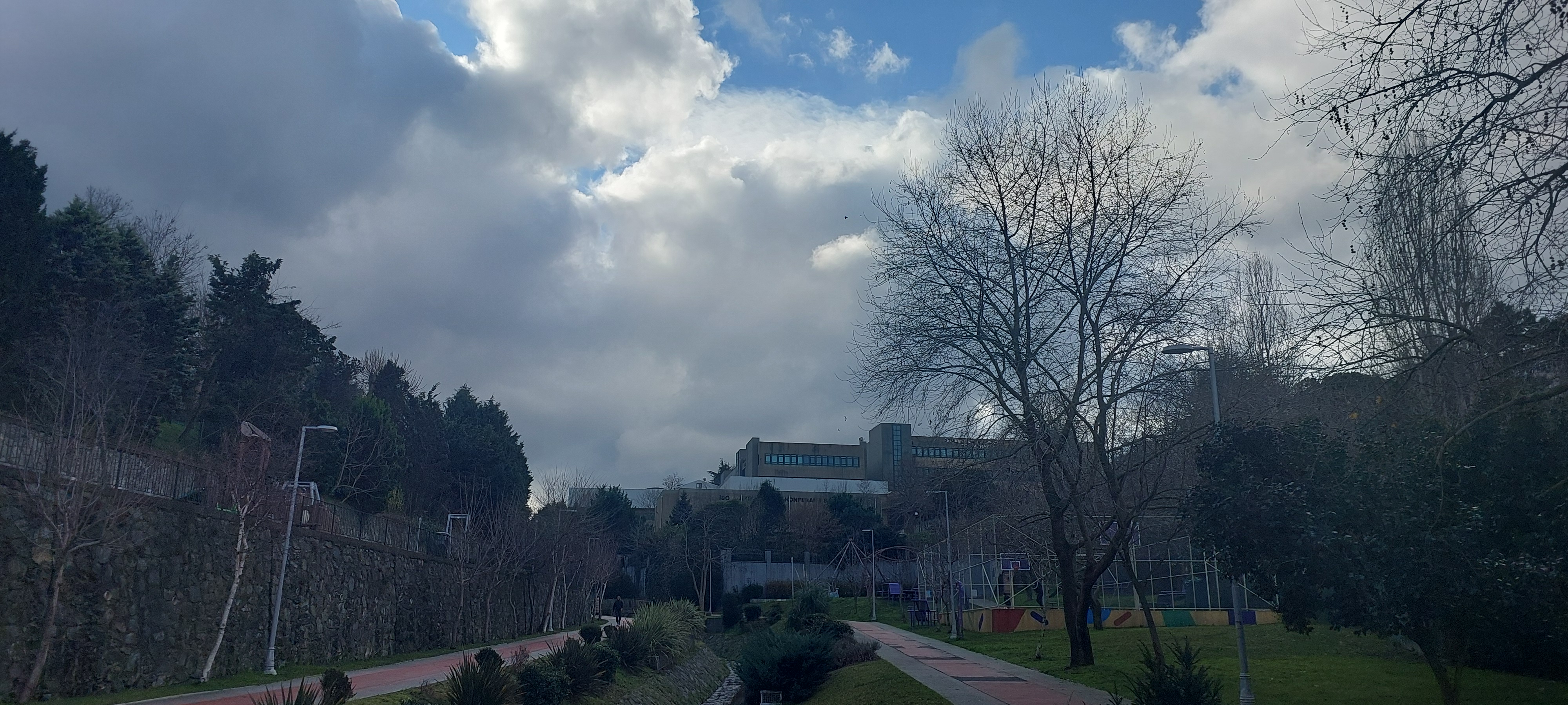 Winter 28012024