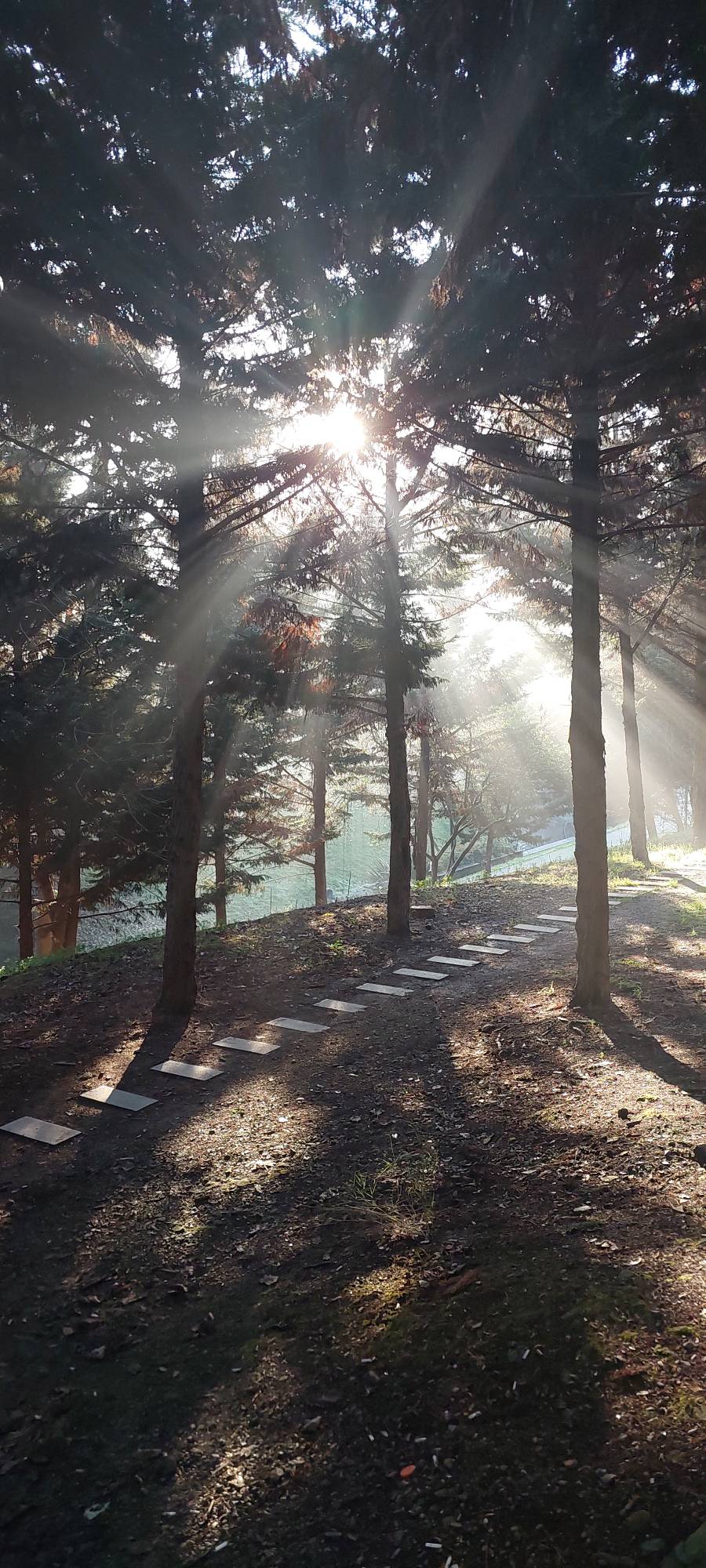 19112024 morning
