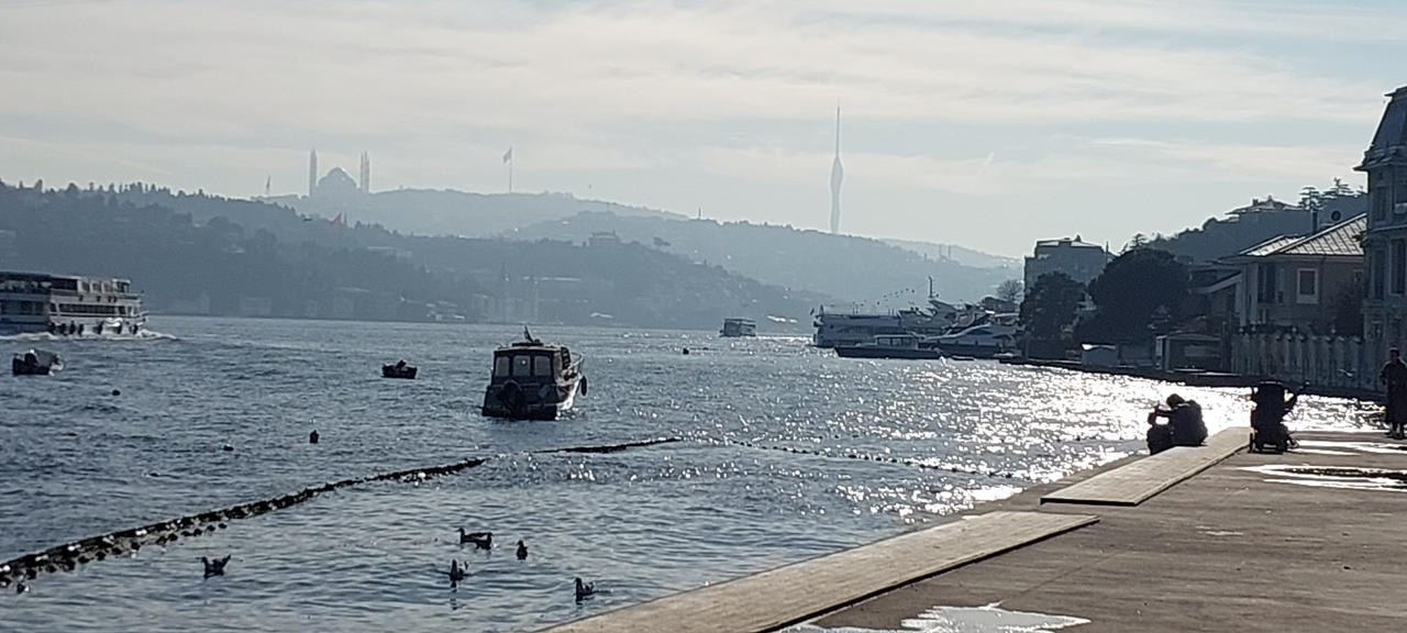 19122024 Bebek