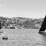 Sailing cup 02 03052025