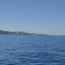Ortaky