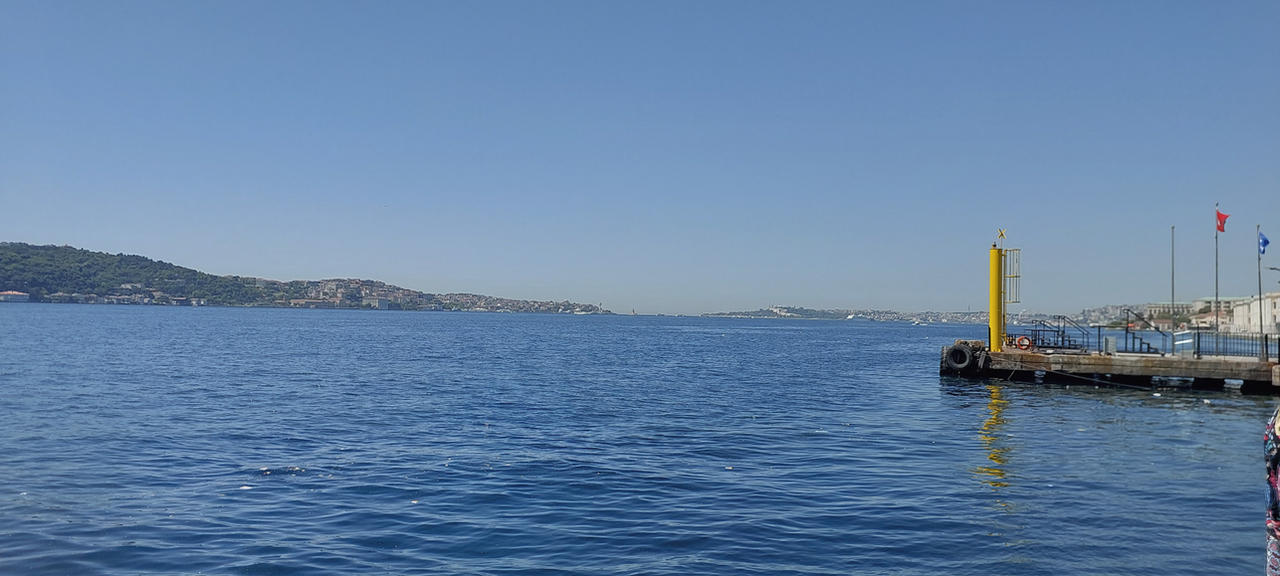 Ortaky