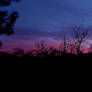 20260121 081336 good morning