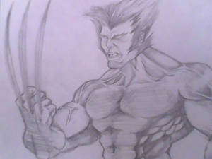 wolverine anger