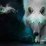 Wolf Logo: Ghost