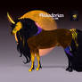 Akkadorian Z Stallion 088 - Import