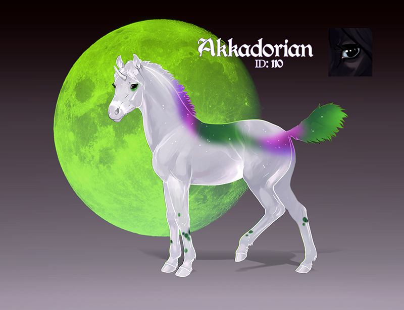 Akkadorian Z Stallion 110 - Import