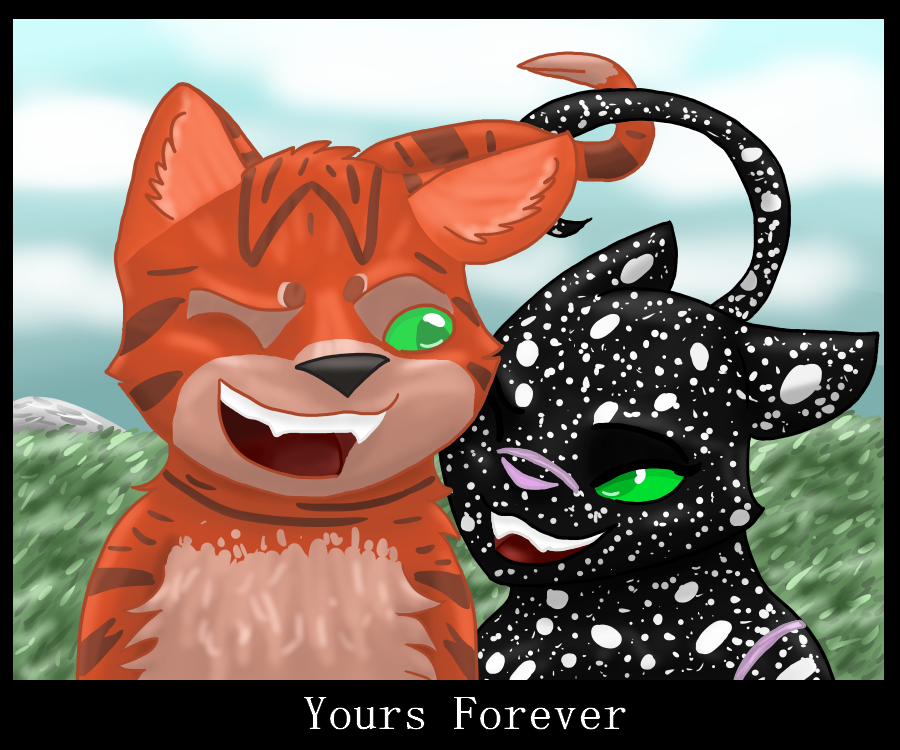 WindClan Lovers