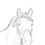 Horse lineart 4