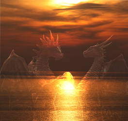 Dragons in the Sunset