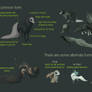 Common Esk Guide