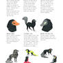 Rare Traits Guide