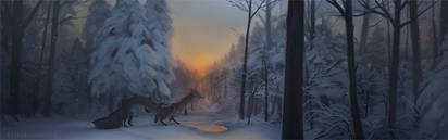 Icy Pond