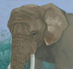 Elephant-Toronto Zoo by GuitarWars