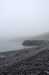 Foggy Day: Cove View 6