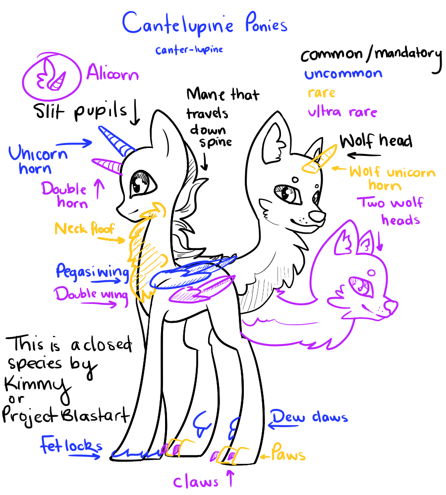 Original Species - Cantelupine Ponies (OPEN!)