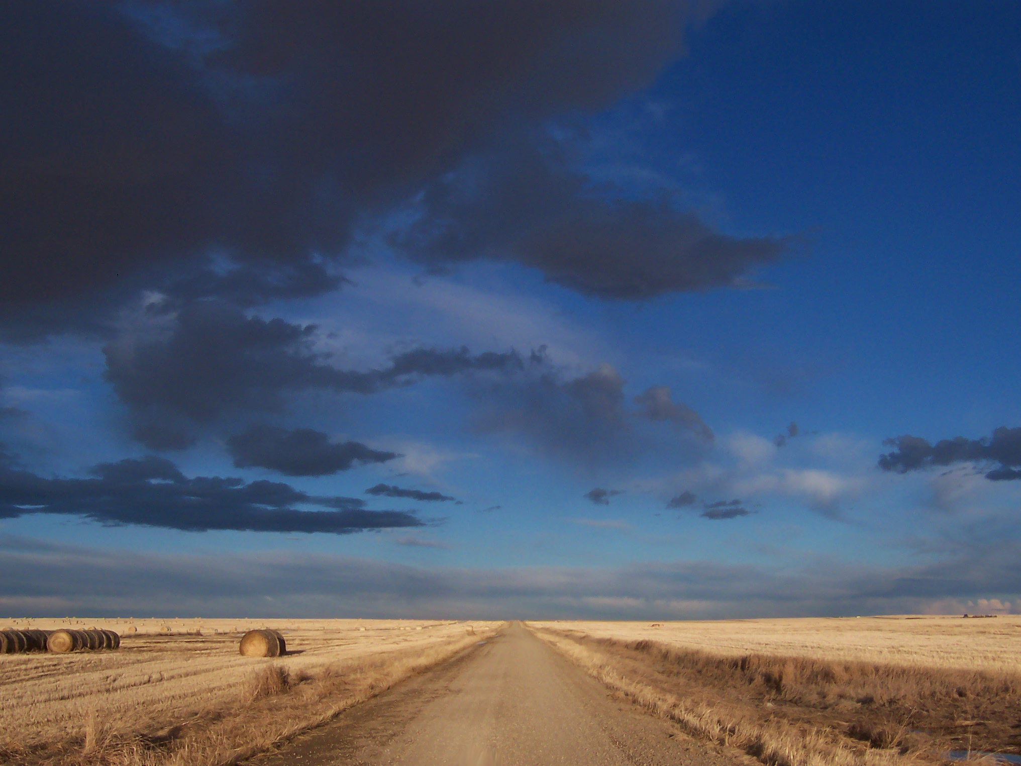 Road to Cobalt Skies