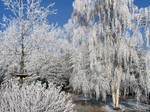 Frosted Wonderland by Book-of-Light-Stock