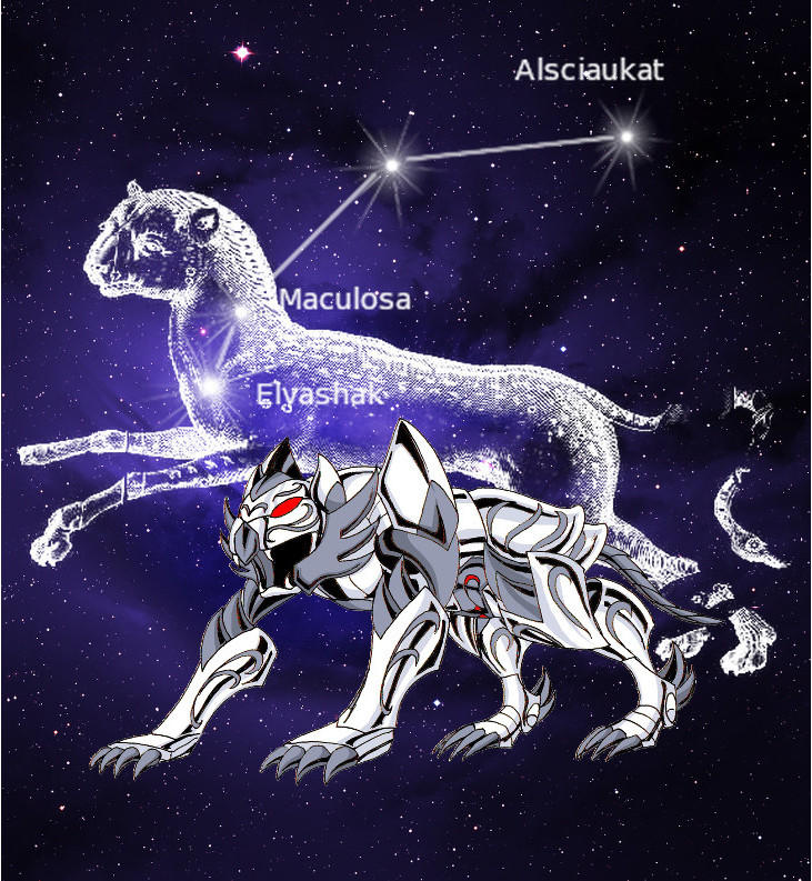 Lyncis Silver Cloth by CamilleAddams on DeviantArt