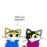 the important question of life